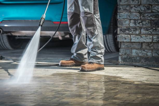 Best Paint Preparation  in North Highlands, CA