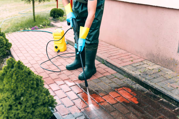 Best Dumpster Area Cleaning  in North Highlands, CA